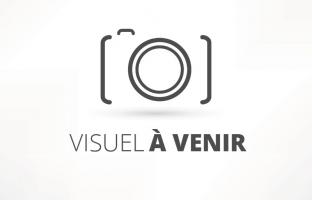La confusion de peine : comment l'obtenir ?